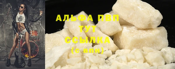 гашик Аркадак