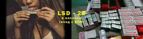 шишки Армянск