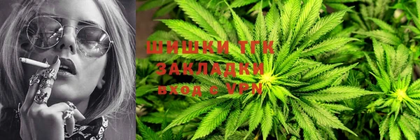 гашик Аркадак