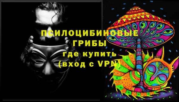 прущий лед Арсеньев