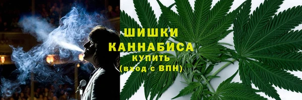 гашик Аркадак