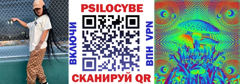купить наркотики цена  Новотитаровская  Галлюциногенные грибы Psilocybine cubensis 